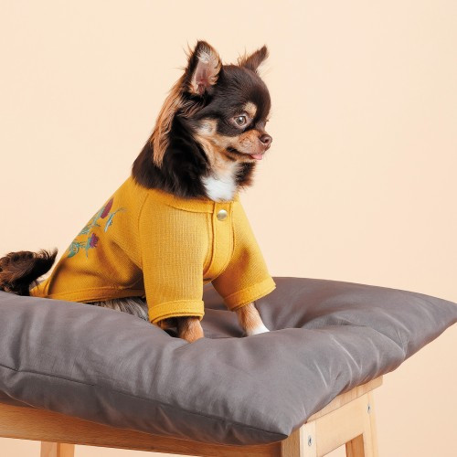 Кардиган Pet Fashion Denis жовтий XS Київ - фото 4