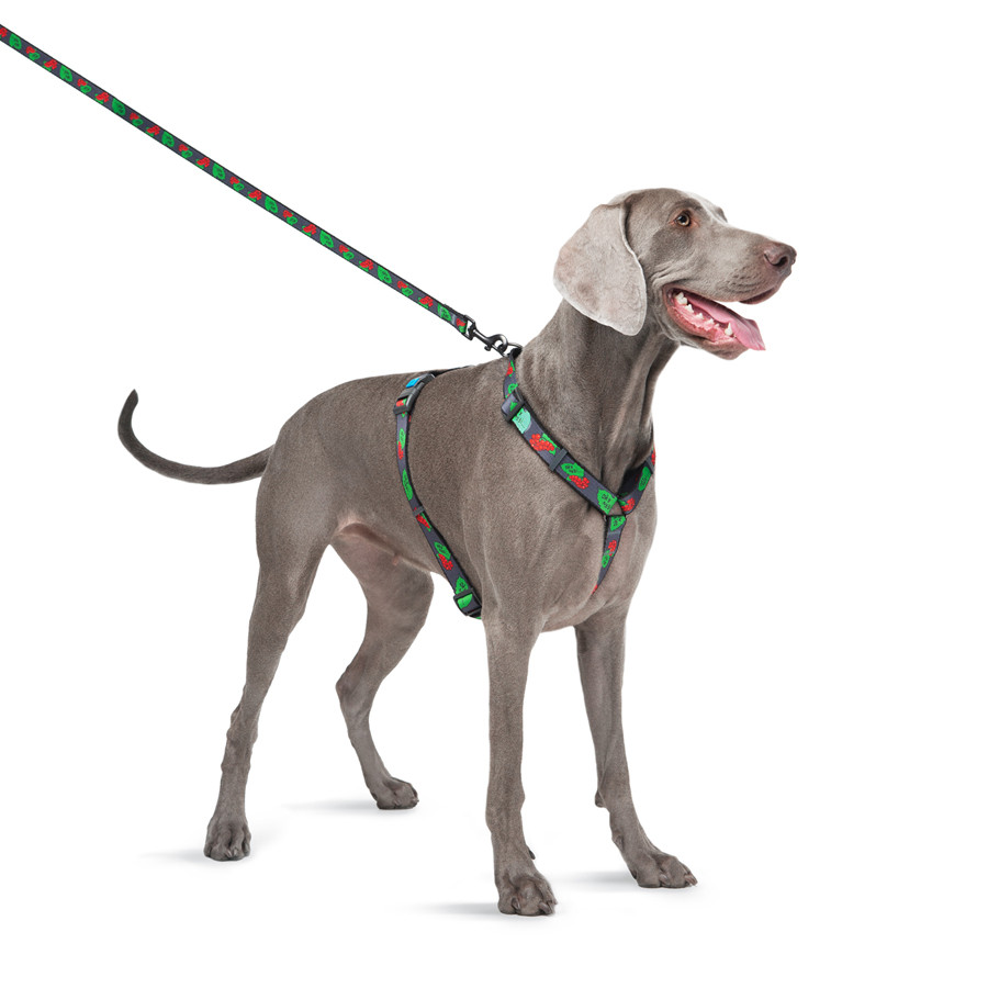 Шлея для собак анатомічна H-подібна WAUDOG Nylon з QR-паспортом, матеріал нейлон, малюнок "Кали Коломыя - изображение 3