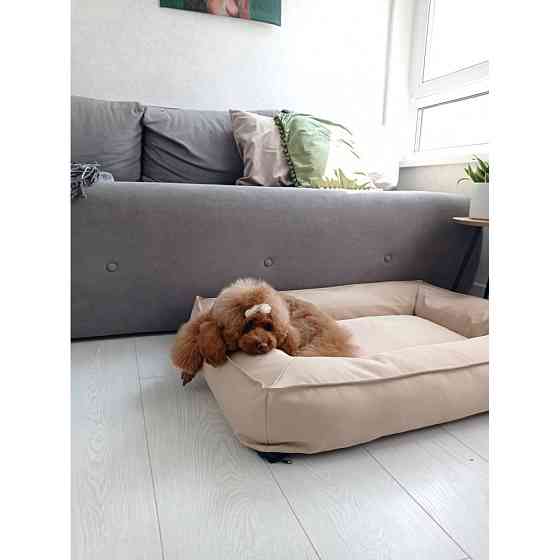 Водонепроникний лежак лежанка спальне місце для тварин зі знімним чохлом бежевий XL (105 см) Київ