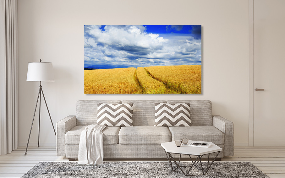 Картина холст в гостиную / спальню   Поле пшениці      MLP_140 80x120 см Киев - изображение 2