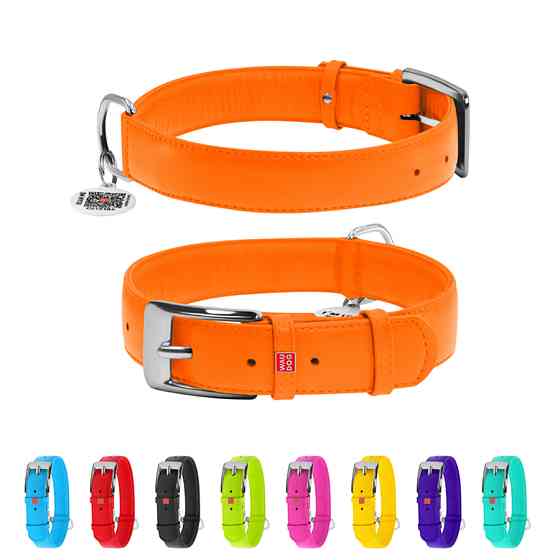 Нашийник для собак шкіряний WAUDOG Glamour з QR паспортом, без прикрас, XL, Ш 35 мм, Дов 46-60 Коломыя