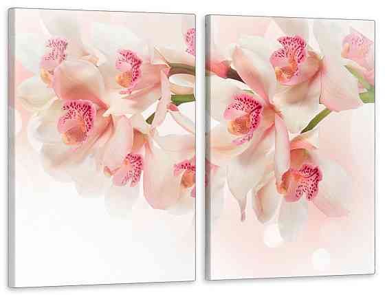 Модульна картина у вітальню/ спальню  Людина Павук       TLV-2_106 70x102 см Київ