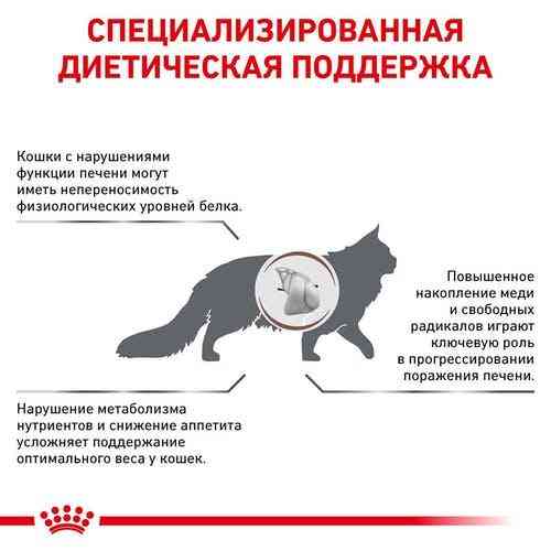 Royal Canin Hepatic (Рояв Канін Гепатик Фелін) сухий корм для кішок при захворюваннях печінки 2 кг. Запоріжжя