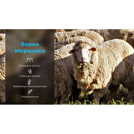 Носки водонепроницаемые Dexshell Hytherm Pro Socks, размер S, черные с коричневой полосой Киев