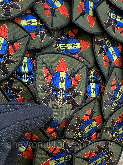 Шеврон Черепок (Форма щит. На липучці) Розмір 8x6см Київ - фото 5