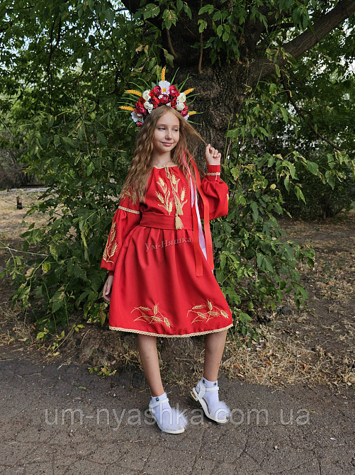 Дитяче вишите червоне плаття з колосками Кривий Ріг - фото 4