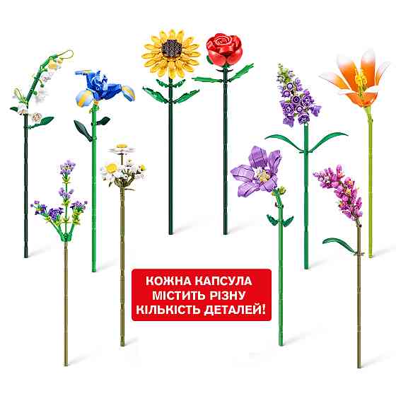 Конструктор в капсулі Max S1 – Садові квіти Дніпро