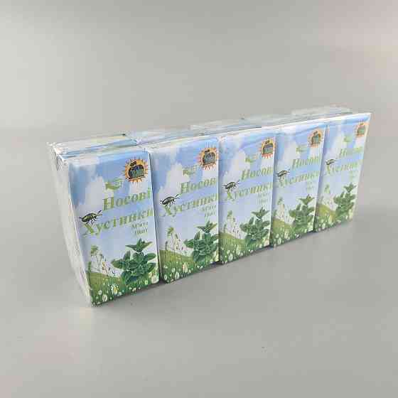 Бyажна хустка Супер Торба М'ята (10 шт.) Харків