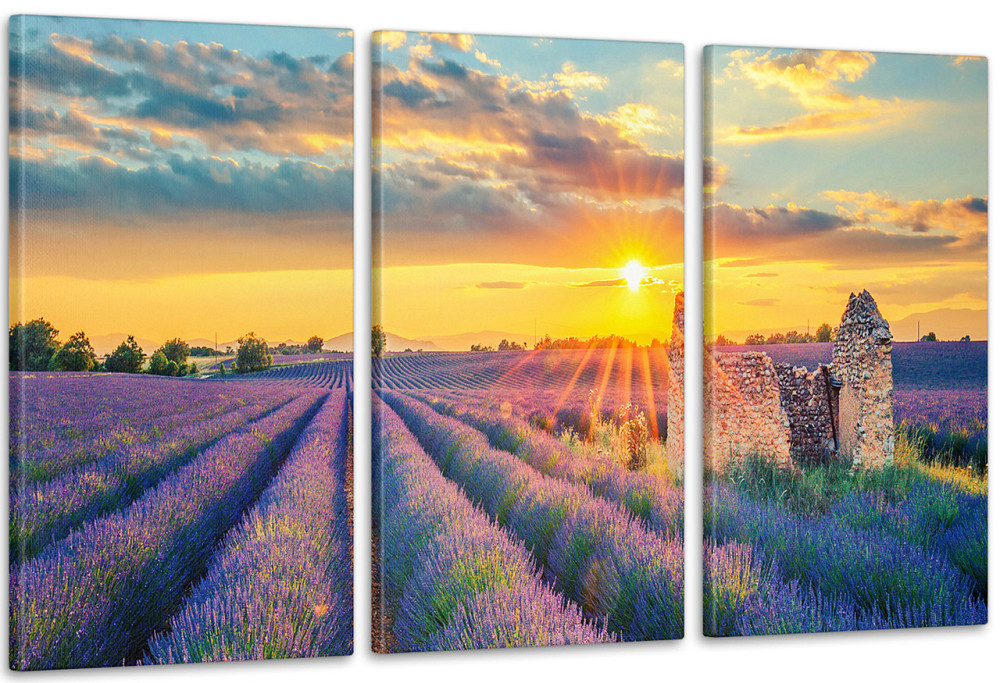 Модульная картина Прованс Аrt-198_3А 70x130 см Киев - изображение 1