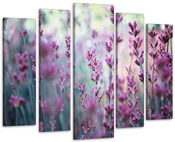 Модульна картина Лаванда Art-61_5 Київ