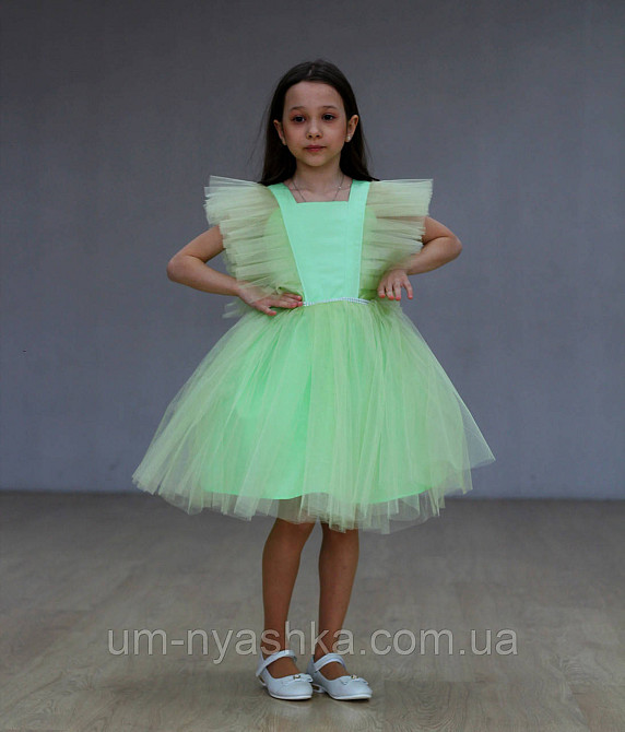 Костюм Капуста, обідок Капусти Кривий Ріг - фото 2