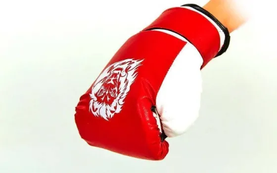 Дитячий боксерський набір (рукавиці+мішок) ЛЕВ Вишнёвое