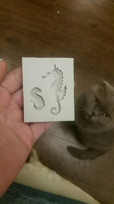 Молд силіконовий Морський коник 60 на 50 мм сірий Київ - фото 16