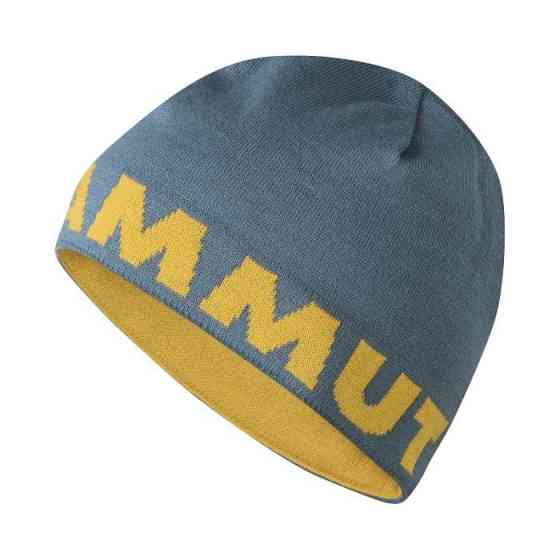 Шапка Mammut Logo Beanie сірий Запоріжжя