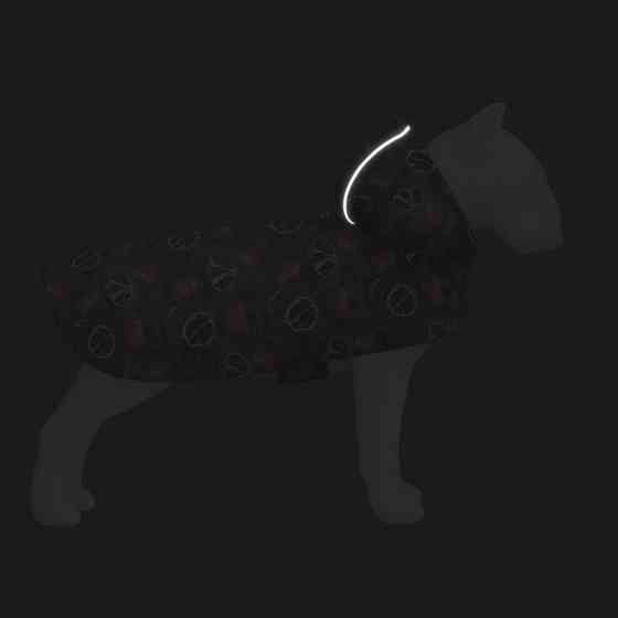 Дощовик-накидка з капюшоном для собак WAUDOG Clothes, малюнок "Гранати", XS, А 26-29 см, B 32-41 см, С 21-26 см Київ