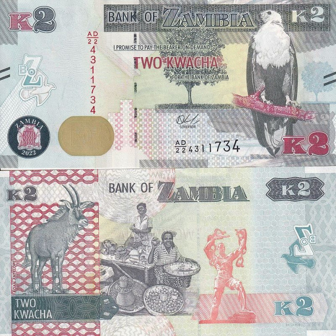 Замбия 2 квача 2022 UNC Полтава - изображение 1
