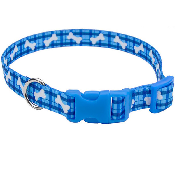 Coastal Pet Attire Styles КОСТАЛ СТАЙЛС нашийник для собак, 2.5х46-66см Київ - фото 1