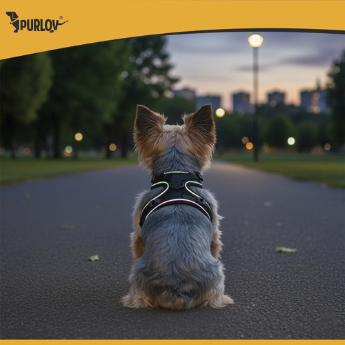 Шлейка регулируемая для животных без давления S от 8 до 15 кг Purlov (26868) Нововолынск - изображение 7