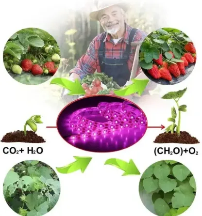 Фитолента для роста саженцев от USB питания фитолампа спектр LED 2 м Коломия