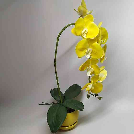 Штучна латексна орхідея VIP у жовтому керамічному кашпо на одну гілку жовта Дніпро