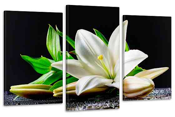 Модульная картина в гостиную / спальню  Біла Лілія Art-646_3 Киев