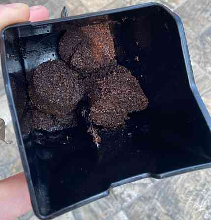 Кавомашина Phillips Latte Go EP3246/70 Харків