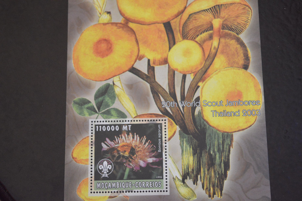 Флора. Мозамбик. Блок. 2015 год (В-7) Полтава - изображение 1