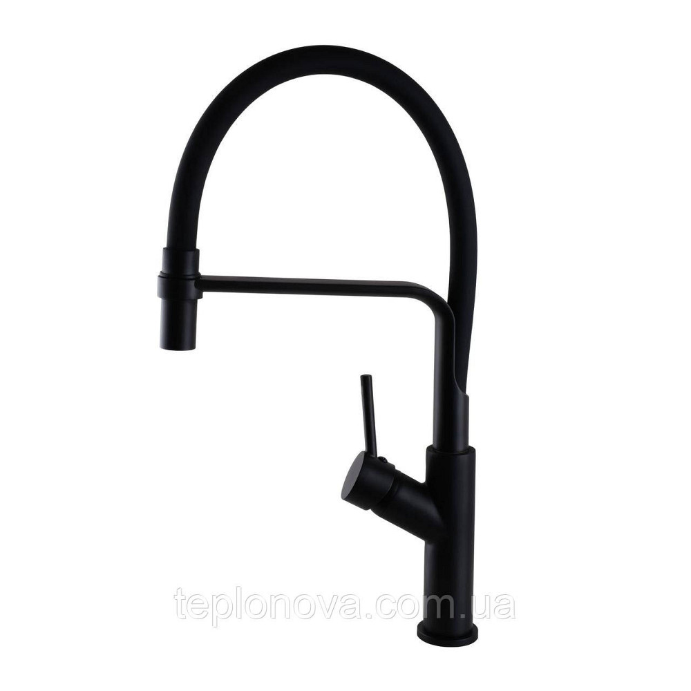 Смеситель для кухни Globus Lux DENVER Flex GDF-32-10-01 Черновцы - изображение 2