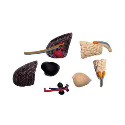 Пазл 4D Master Master Стегозавр (FM-622016) Винница