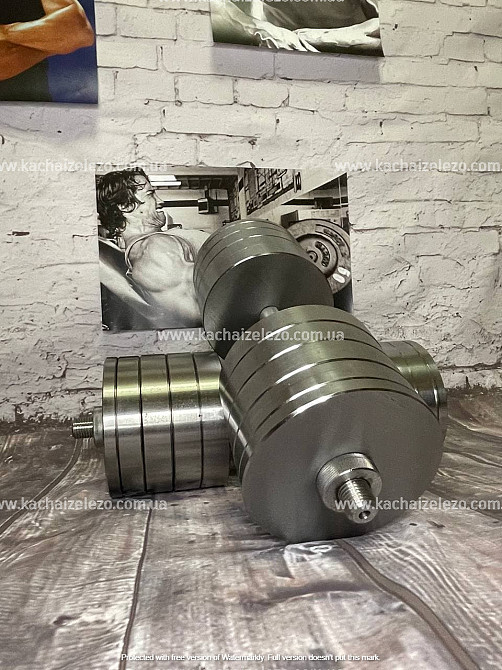 Гантели наборные 2 по 48 кг Гантели, гири, штанги и диски металлические без покрытия Киев - изображение 2