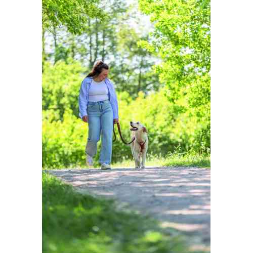 Повідок Trixie Cavo для собак регульований S–M 2 м діаметр 12 мм рижий-графіт Київ