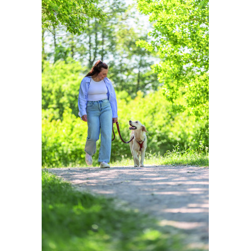 Повідок Trixie Cavo для собак регульований S–M 2 м діаметр 12 мм рижий-графіт Київ - фото 4