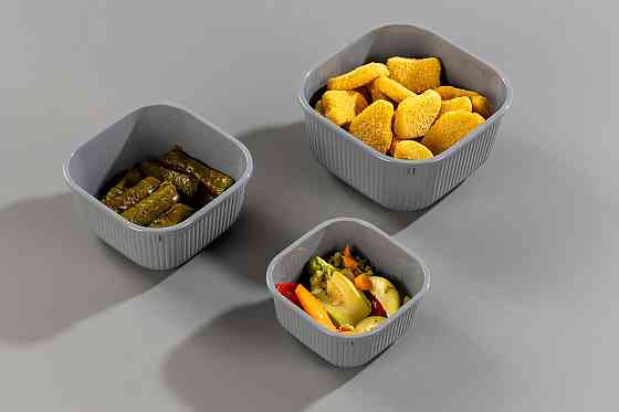 Контейнер Idea Home 00683 Line Box Gray 1.8 л (00683 Gray) (7180064) Киев