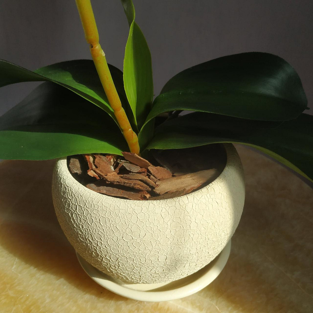 Штучна латексна орхідея VIP у бежевому керамічному кашпо на одну пудрову гілку. Дніпро - фото 6