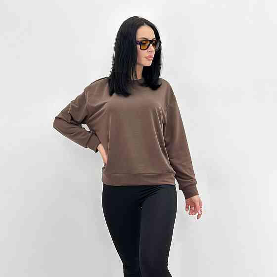 Базовий світшот із двонитки "Kaplan" оптом  Норма та батал 54-56, Шоколадний Київ