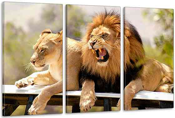 Модульная картина в гостиную / спальню  Закохана пара Левів    ART-247_3A 100х150 см Киев