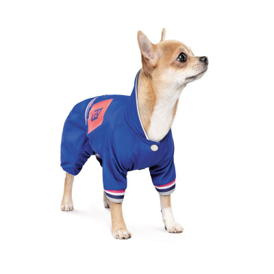 Дощовик для тварин Pet Fashion Silver ХS2 (4823082429912) Вінниця - фото 4