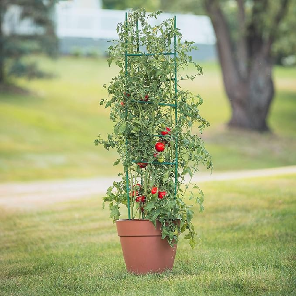 Опора-решетка для комнатных и садовых высокорослых цветов,растений, рассады томата,огурца,перца высота 120 см Каменец-Подольский - изображение 4