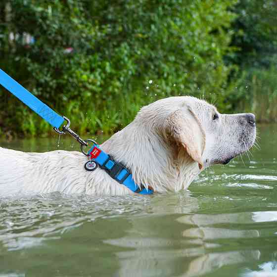 Ошейник для собак водостойкий WAUDOG Waterproof c QR паспортом, пластикова пряжка-фастекс, Ш 25 мм, Дов 38-58 см, блакитний Київ