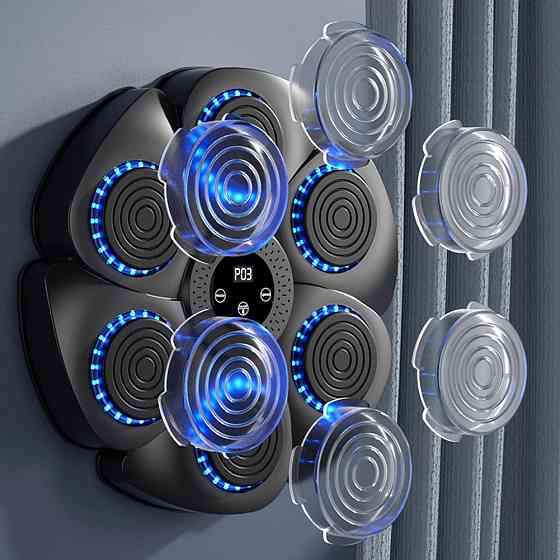 Настінний боксерський тренажер PowerPlay PP_4416 (музична боксерська машина-тренажер) Київ