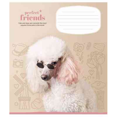 Зошит Школярик Perfect friends 12 аркушів клітинка (012-3250K) Вінниця