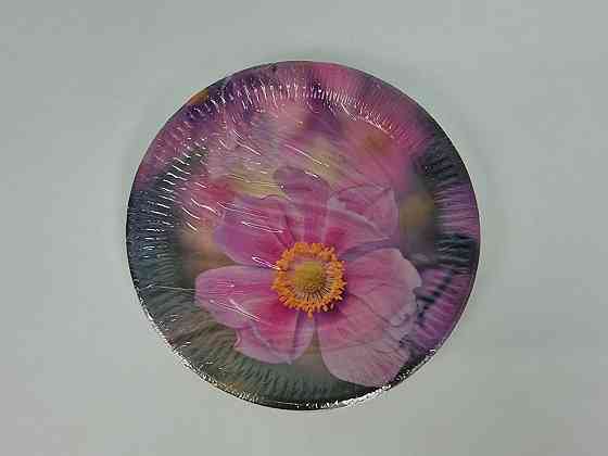 Тарілка паперова 23 см "No64 10 шт (1 пачка) Харків