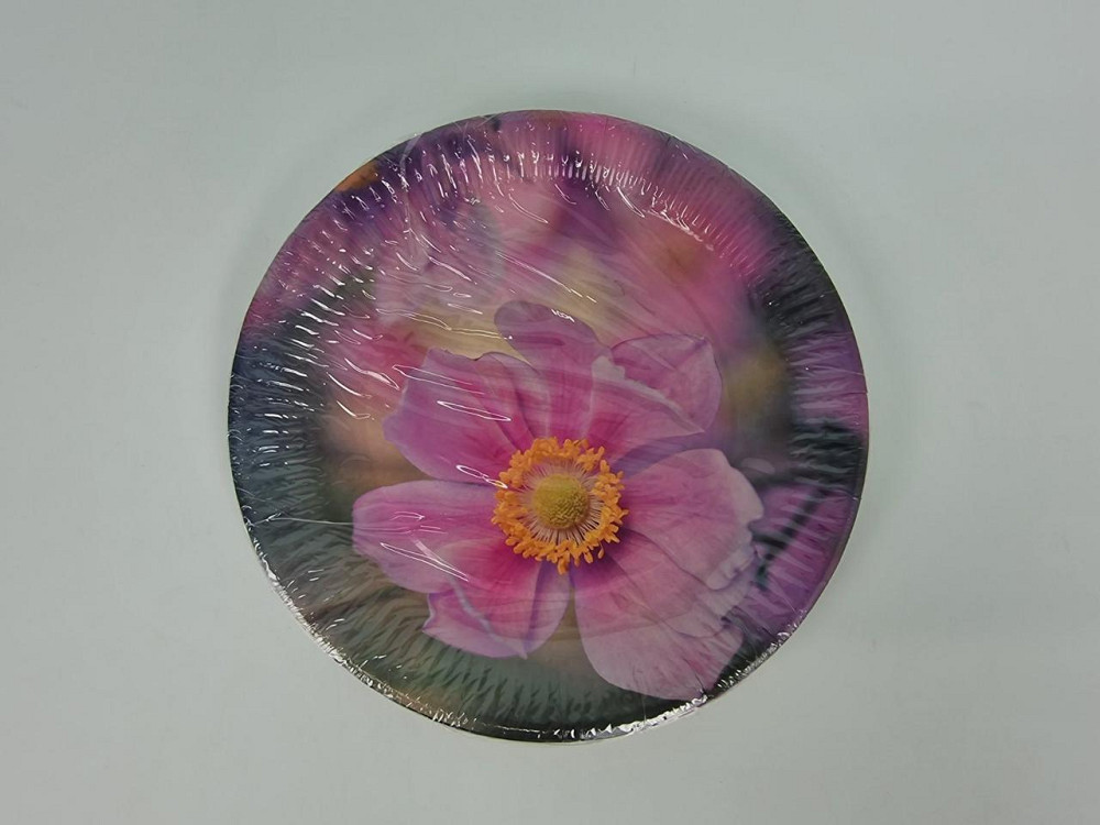 Тарілка паперова 23 см "No64 10 шт (1 пачка) Харків - фото 4