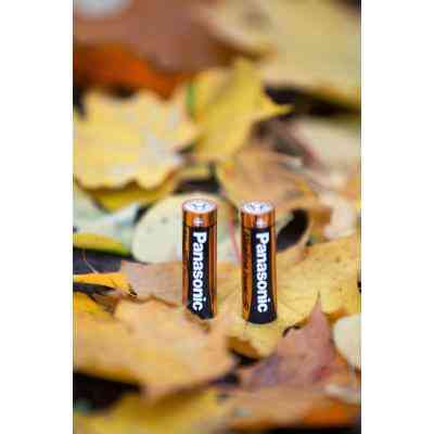 Батарейка Panasonic LR06 Alkaline Power * 2 (LR6REB/2BP) Винница