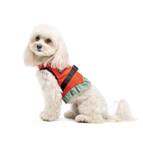 Шлея Monika ТМ Pet Fashion для собак S Киев