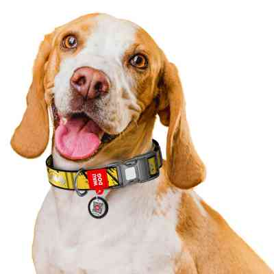 Ошейник для животных WAUDOG Nylon из QR паспорта "Тень Бэтмена", светоотражающий XL (283-1081) Винница