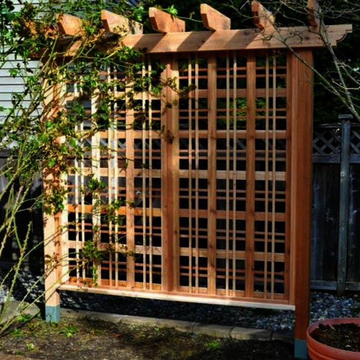 Пергола-шпалера "Сулейманія" сієна Миколаїв - фото 1