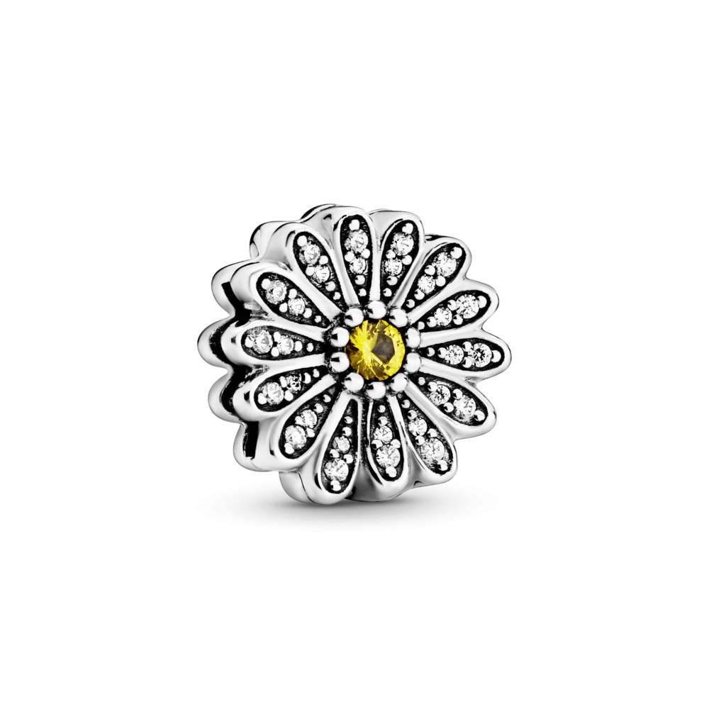 Серебряный шарм Пандора    