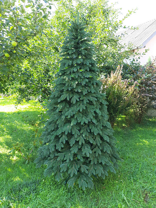 Елка искусственная новогодняя «Литая Швейцарская» зеленая 1.5 / 1.8 / 2.1 / 2.3 / 2.5 м 2.5 Киев - изображение 2