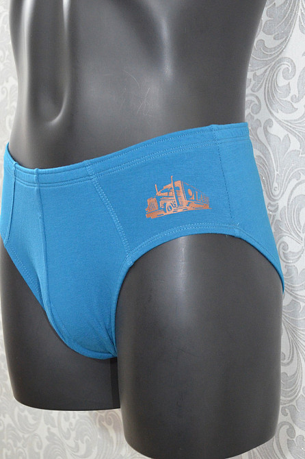 Трусы мужские Классика Lans 02/024 Киев - изображение 4